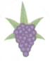 Trippy Grape